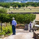 Ed � proprio la �vecchia vigna�, quella impiantata dal fondatore, a fornire il vino di punta dell'azienda: una bevanda di 15 gradi di colore rosso rubino intenso